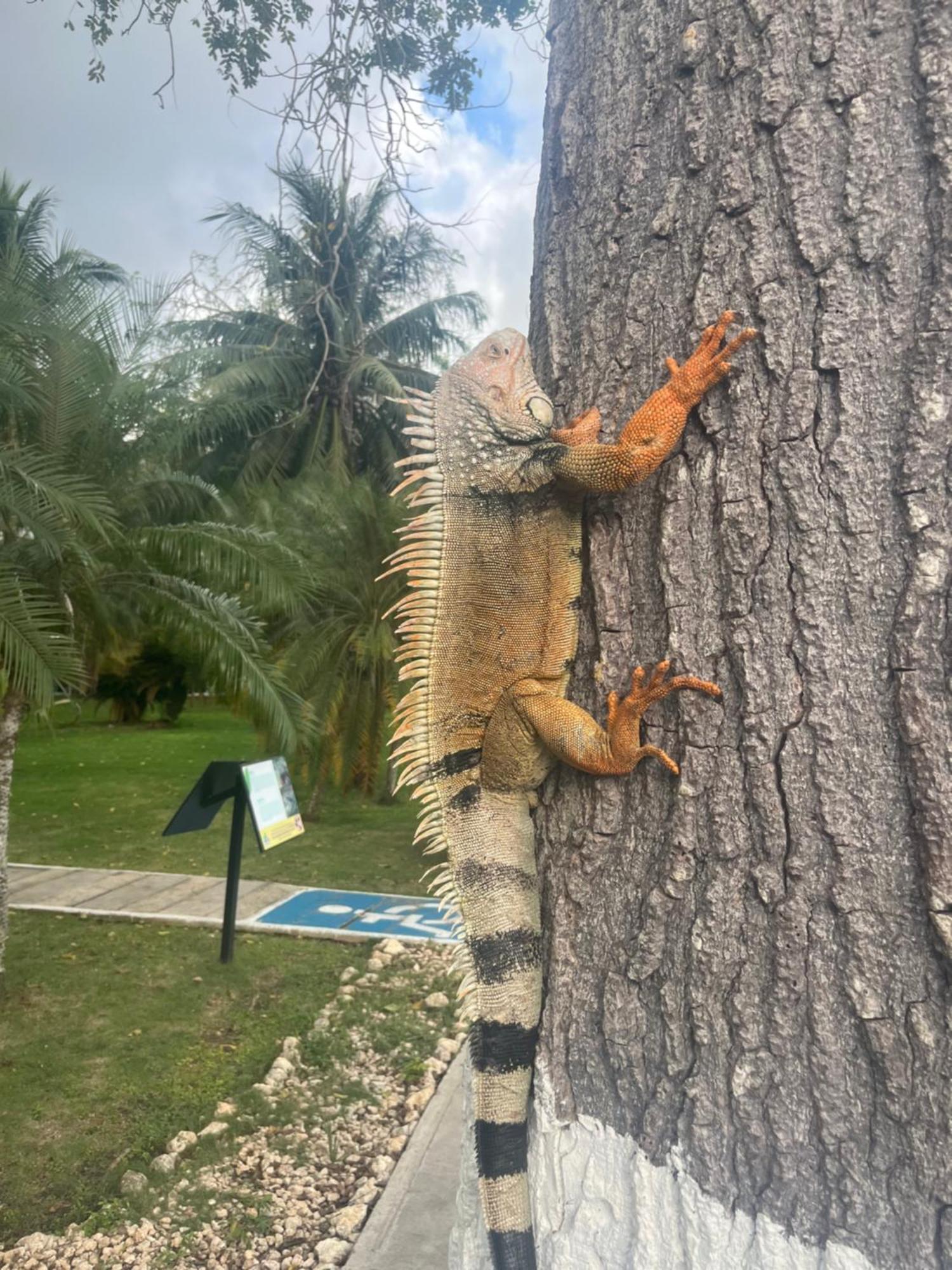 La Casa De La Playa Mcd